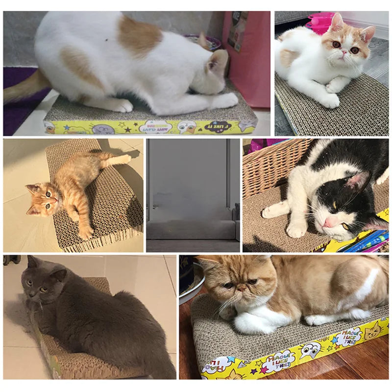 ClawCraft Cat Scratcher