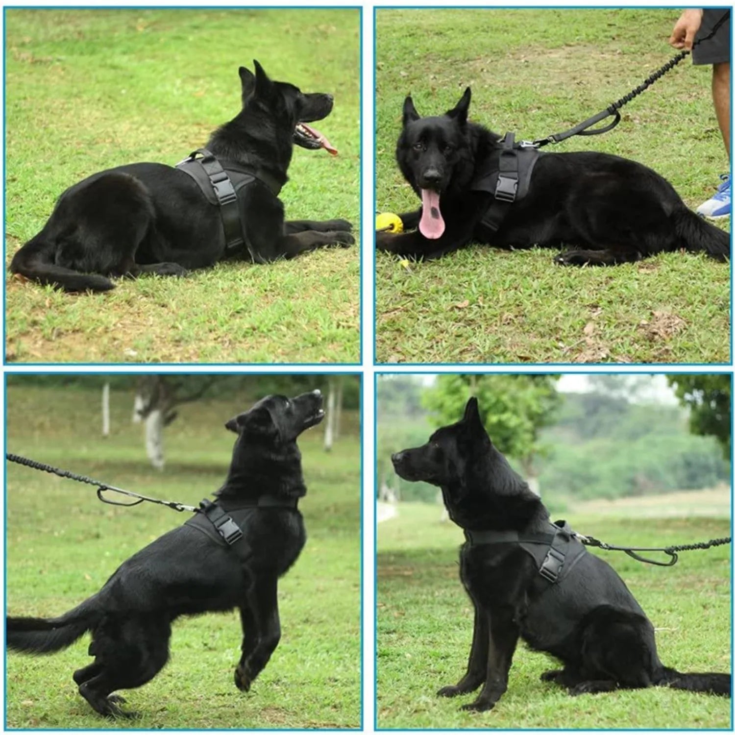Military-Style Dog Harness for German Shepherds
