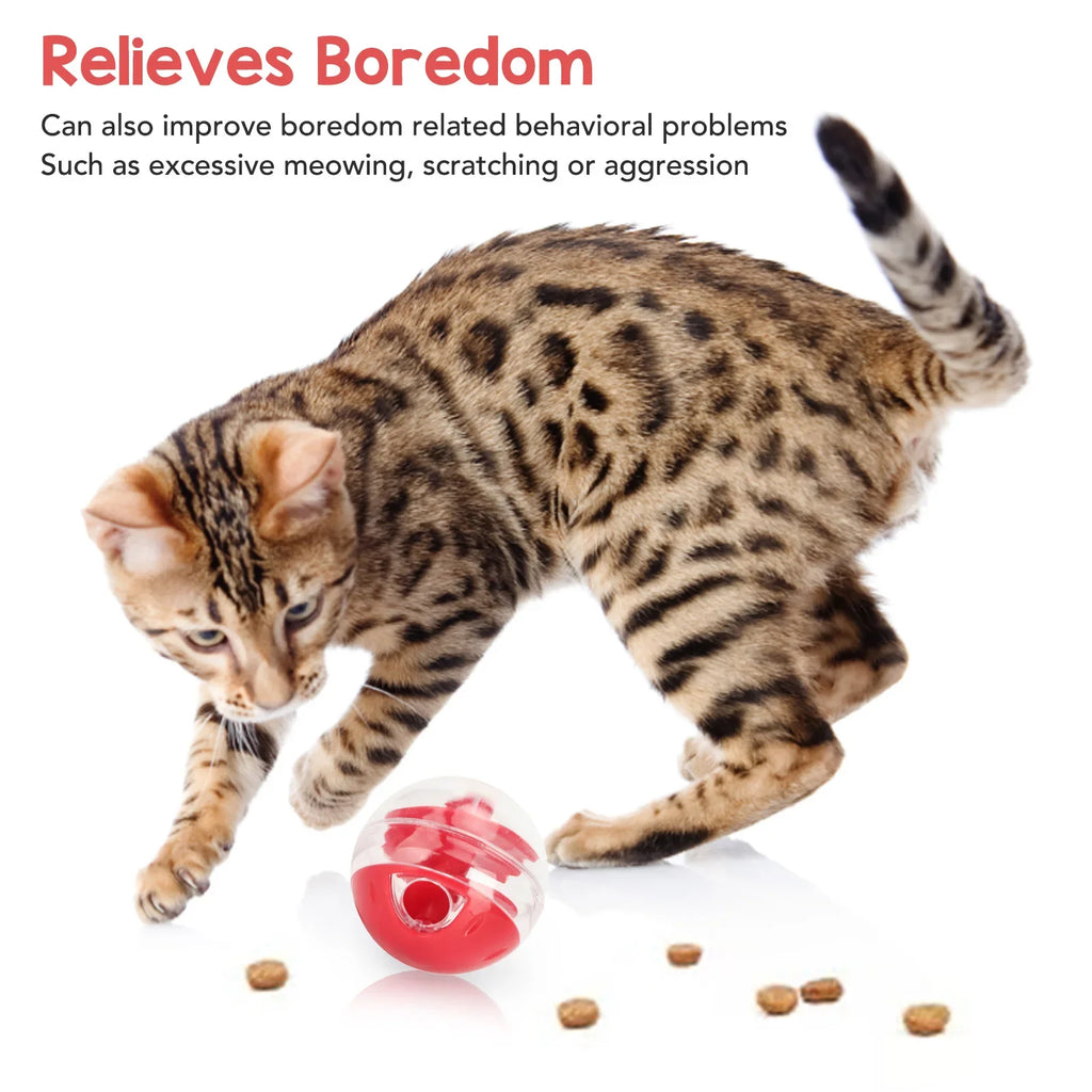 Cat Treat Toy Ball for Slow Feeding & Play