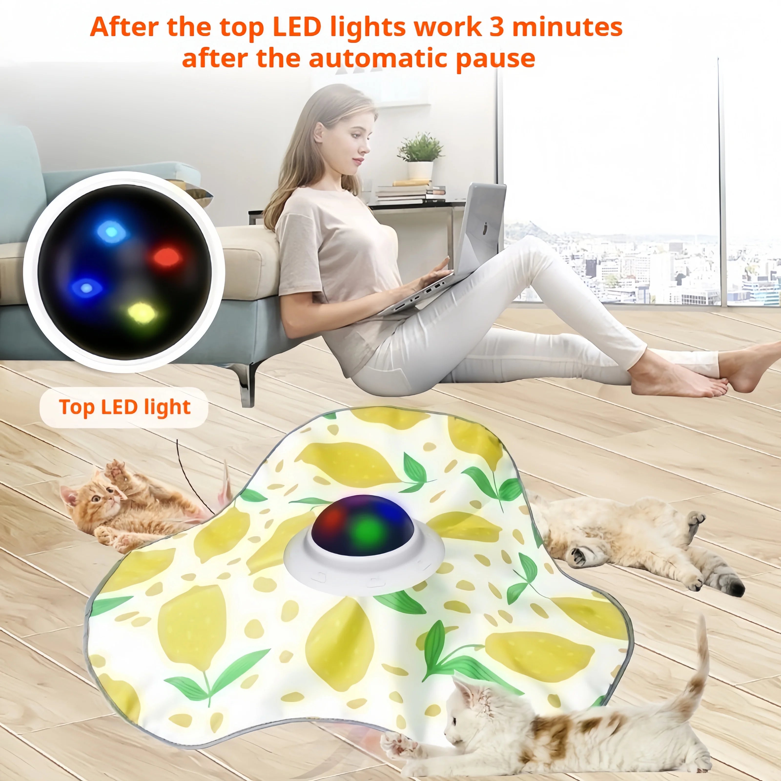 Automatic Hide-and-Seek Cat Toy – Motion Activated