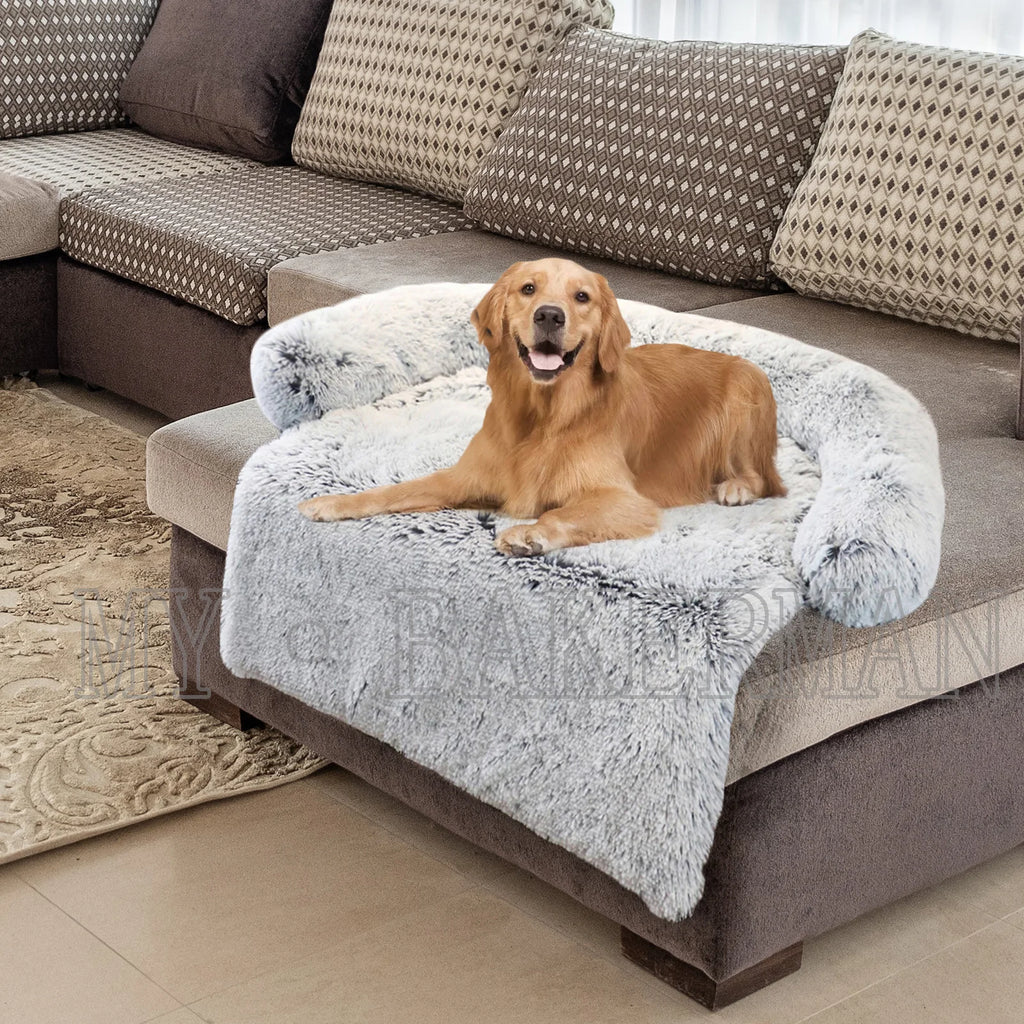 classy Dog Bed