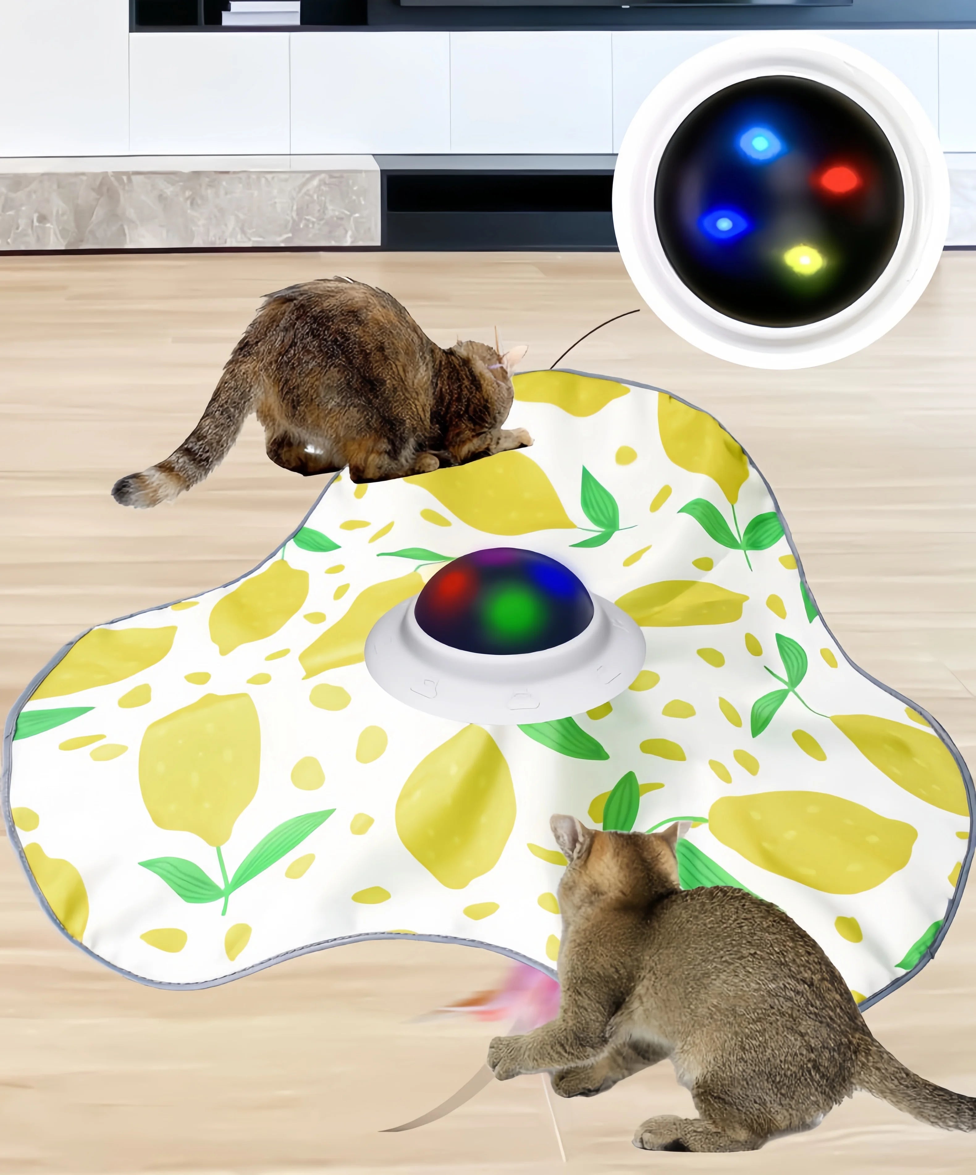 Automatic Hide-and-Seek Cat Toy – Motion Activated