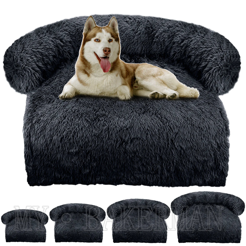classy Dog Bed