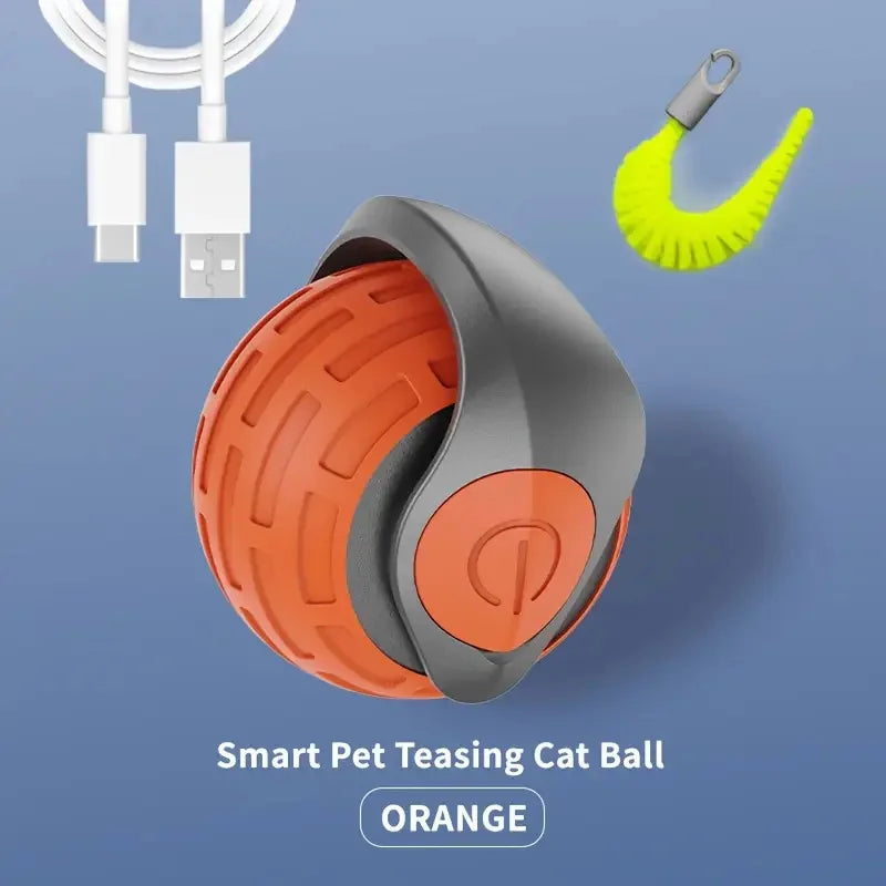 CrazyCat Chase Ball