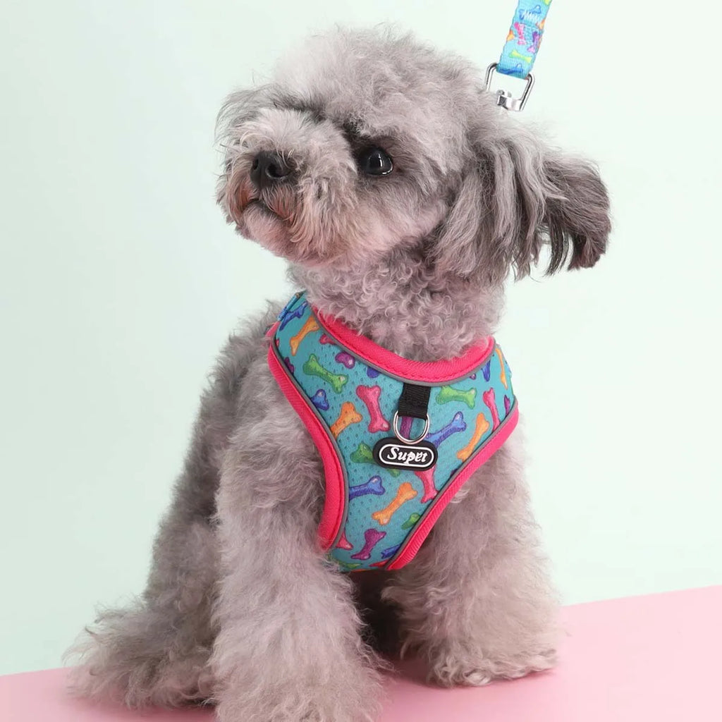 PawEase Comfort Harness Set