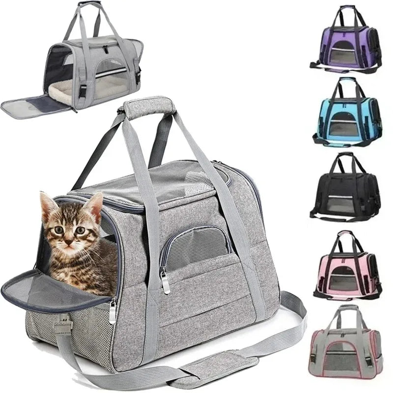 PawVoyage Pet Carrier