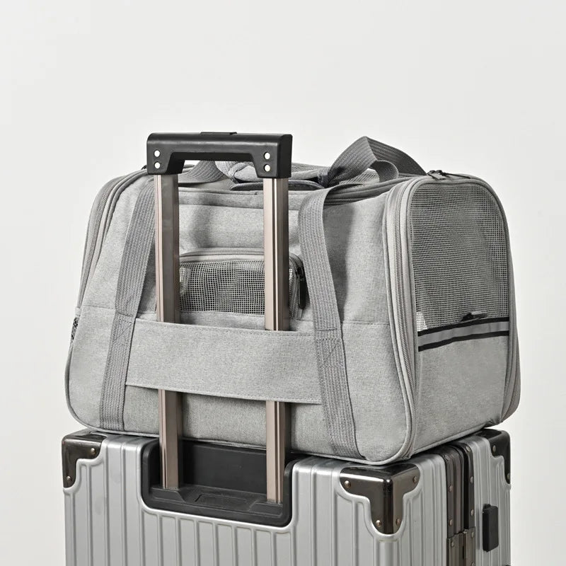 PawVoyage Pet Carrier